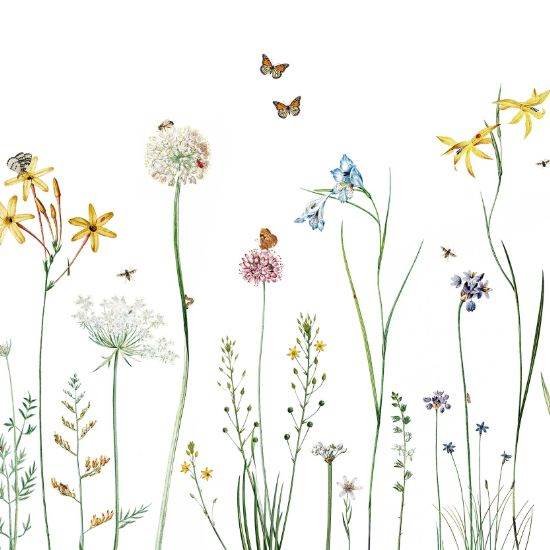 Butterfly Garden pastel watercolor butterflies kids room wallpaper roll swatch